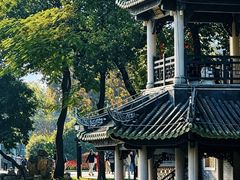 -荔湾湖公园