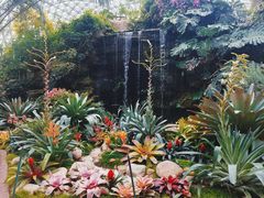 -上海辰山植物园