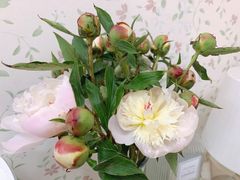 -龙巢盱眙龙虾·牛蛙·烧烤宵夜(八卦岭店)