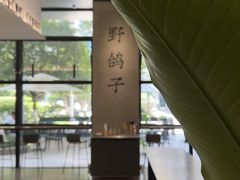 -野鸽子咖啡(中航店)