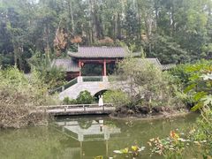 -广州神农草堂中医药博物馆