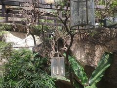 -厦门园林植物园-植物园滴水山房
