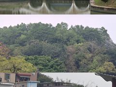 -长洲岛
