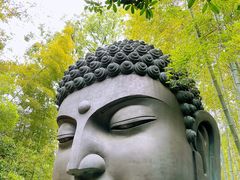 -杭州植物园