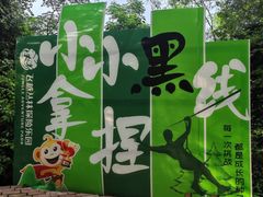 -芦仙山景区-飞越丛林探险乐园