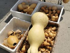 -中环花鸟鱼虫市场