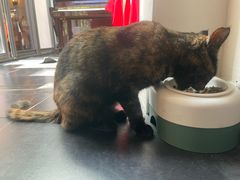 -EATALIA意塔利意式餐厅(鼓楼店)