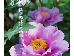 -洛阳市隋唐城遗址植物园