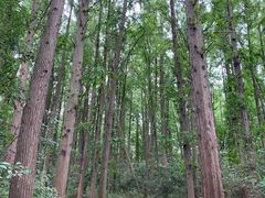 -同里国家湿地公园