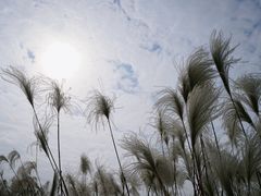 -良渚古城遗址公园