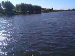 -羊亭河湿地公园