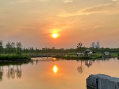 -春花秋色城市公园