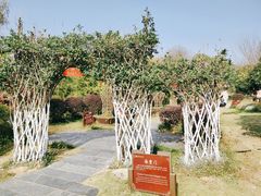 -武汉紫薇都市田园