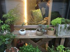 -Home Cafe(水榭春天店)