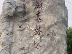 -云岗森林公园