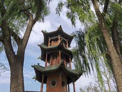 -王家大院
