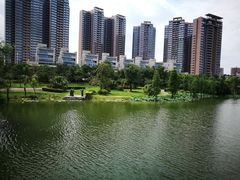 -飞来湖湿地公园