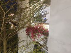 -横琴客运码头
