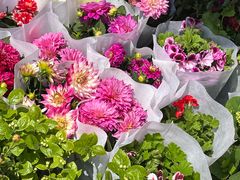 -三旗百汇商品城