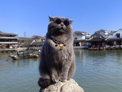 -锦溪古镇