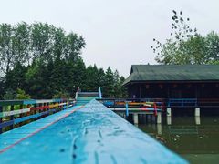 -溱湖国家湿地公园