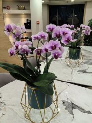 -酉嘉瑜伽YO+YOGA