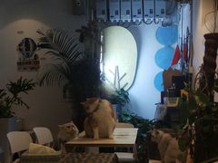 -小时光咖啡馆(北锣鼓巷店)