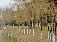 -艾溪湖湿地公园