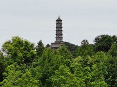 -北坞公园