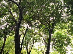 -白塘生态植物园