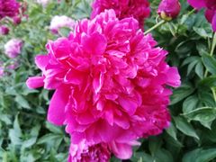 -长春公园(普阳街道)