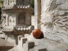 -普照寺