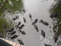 -长白岛森林公园