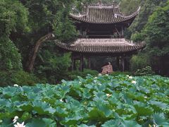 -三苏祠