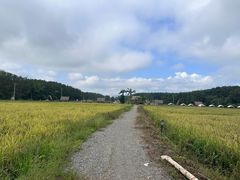 -西双版纳傣族园