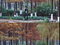 -重庆彩云湖湿地公园
