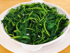 炒番薯叶-文海饭店(朝阳路店)