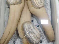 -川林海鲜酒家·湾仔传统早茶·粤菜