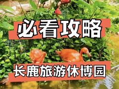 -长鹿旅游休博园