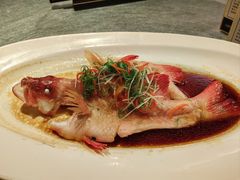 -博多新记·粤菜(复兴店)