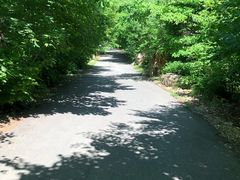 -大连天门山国家森林公园
