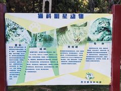 -青藏高原野生动物园