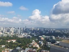 -新加坡瑞士史丹福酒店