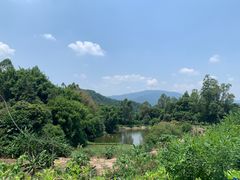-天强农家菜馆