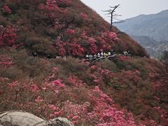 -木兰云雾山