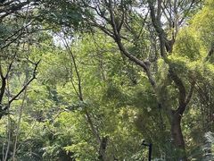 -厦门悦华酒店