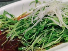 白灼松柳-樽宴酒楼·地道川菜·品质宴请