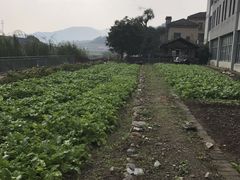-鄞州雪菜博物馆