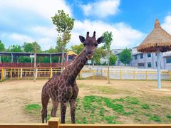 -西霞口神雕山野生动物世界