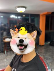 -鸿運 BARBER SHOP男士理发馆